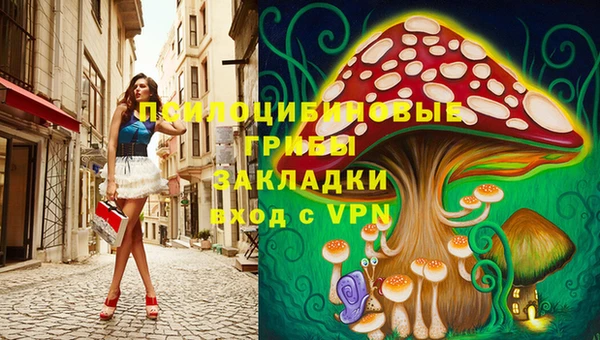 МДПВ Коряжма